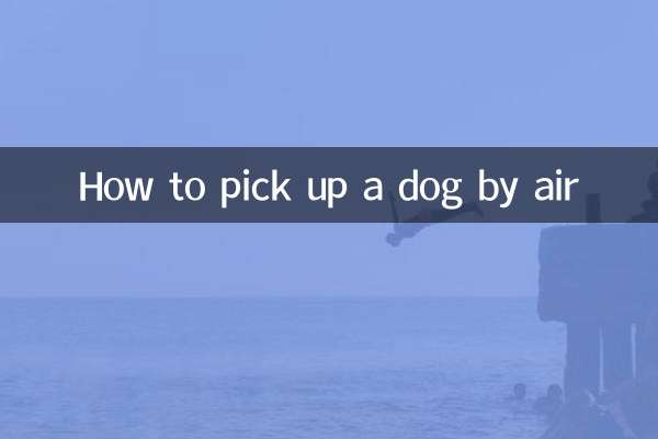 How to pick up a dog by air
