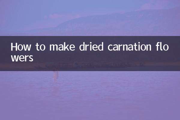 How to make dried carnation flowers