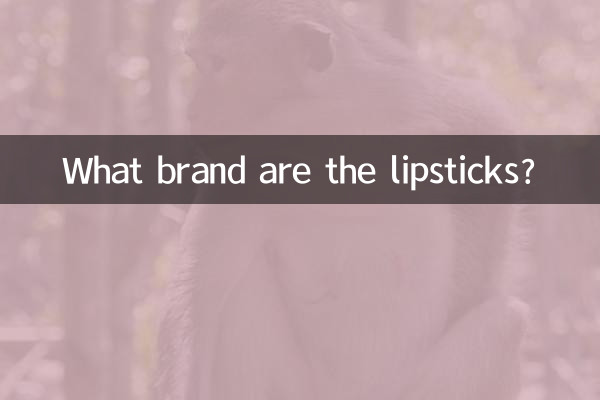लिपस्टिक किस ब्रांड की हैं?