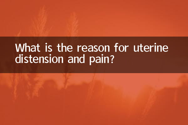 بچہ دانی کی خرابی اور درد کی کیا وجہ ہے؟