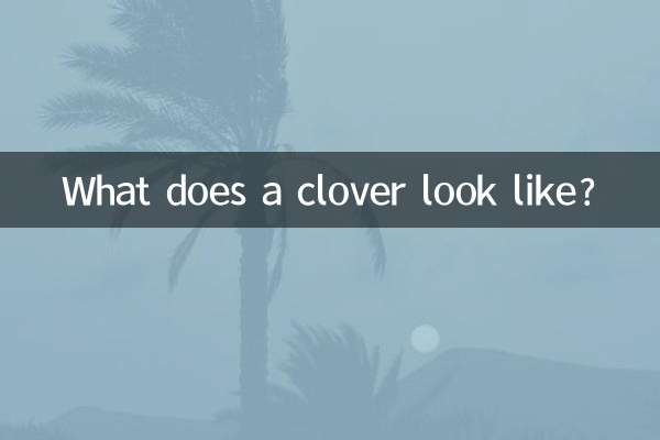 كيف يبدو البرسيم؟