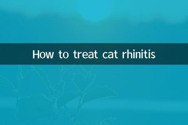 猫の鼻炎の治し方