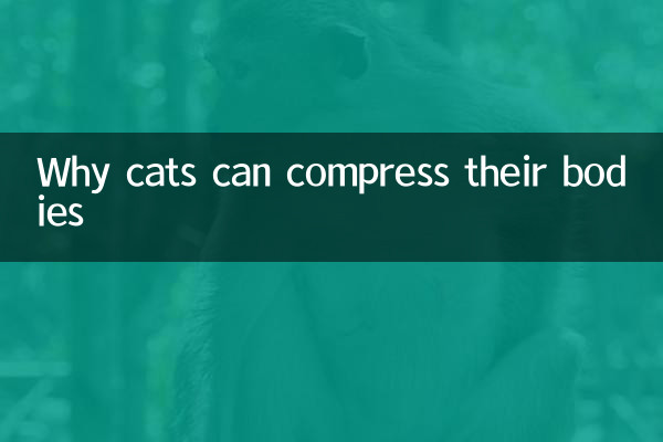 बिल्लियाँ अपने शरीर को क्यों दबा सकती हैं?