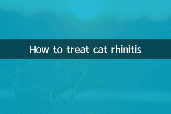 猫鼻炎怎么治疗