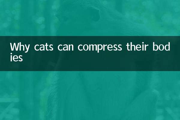 কেন বিড়াল তাদের শরীর সংকুচিত করতে পারে