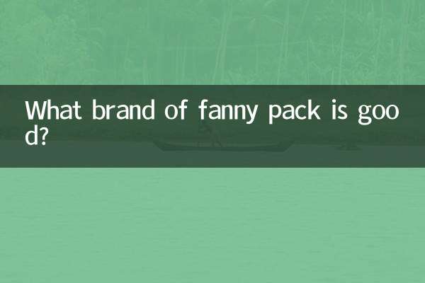 ¿Qué marca de riñonera es buena?