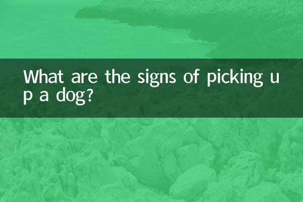 Quali sono i segnali quando si prende in braccio un cane?