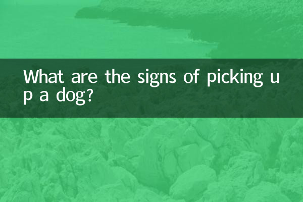 Was sind die Anzeichen dafür, einen Hund hochzunehmen?