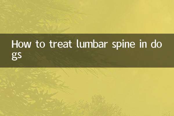 How to treat dog’s lumbar vertebrae