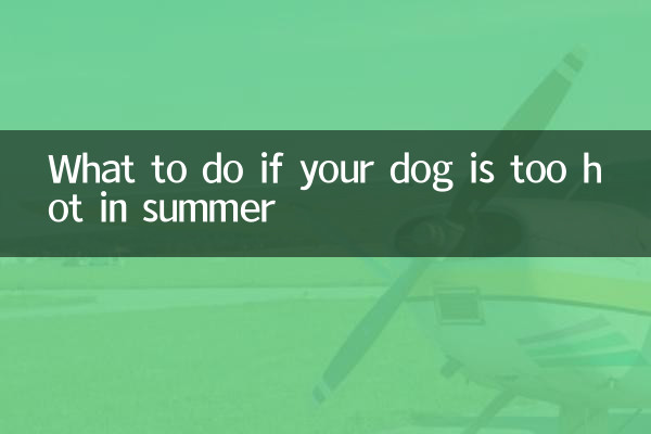 O que fazer se seu cachorro sentir muito calor no verão