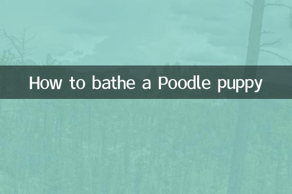 Comment baigner un chiot caniche