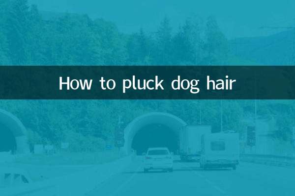 How to pluck dog hair