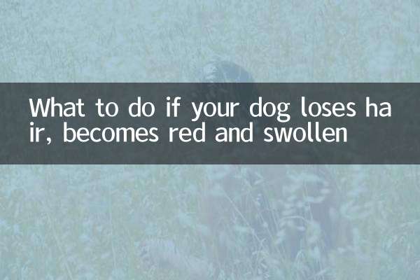 狗狗掉毛红肿怎么办