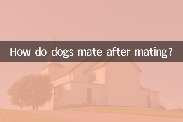犬交配後怎麼還交配
