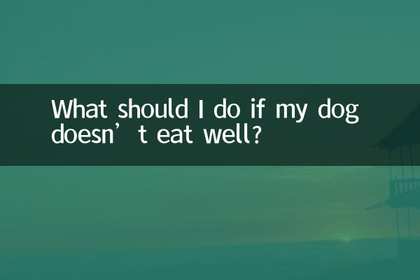 ¿Qué debo hacer si mi perro no come bien?