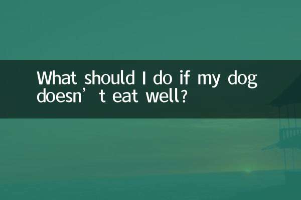 ¿Qué debo hacer si mi perro no come bien?