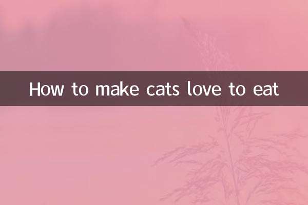 How to make cats love to eat