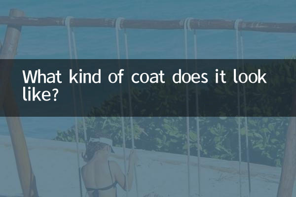 यह किस प्रकार का कोट दिखता है?