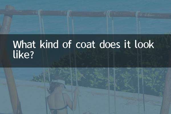 यह किस प्रकार का कोट दिखता है?
