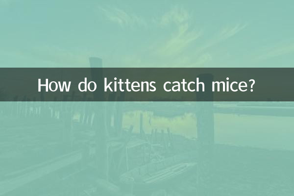 Wie fangen Kätzchen Mäuse?