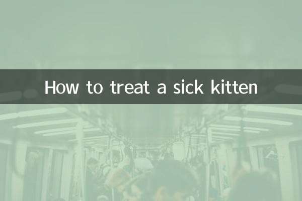 Como tratar um gatinho doente