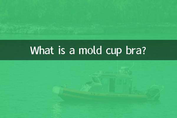 ¿Qué es un sujetador con copa moldeada?