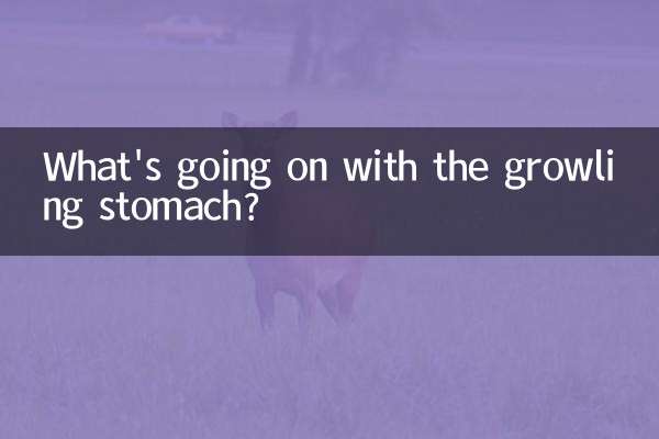 꼬르륵 소리가 나는 배에 무슨 일이 일어나고 있는 걸까요?