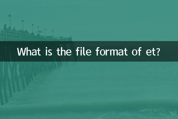 et এর ফাইল ফরম্যাট কি?