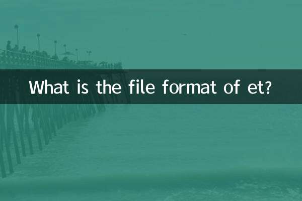 et এর ফাইল ফরম্যাট কি?