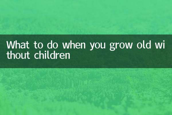 沒有孩子老了怎麼辦