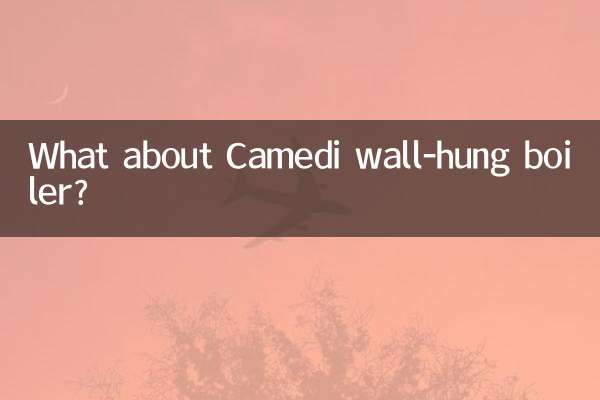 ماذا عن غلاية Camidi المعلقة على الحائط؟