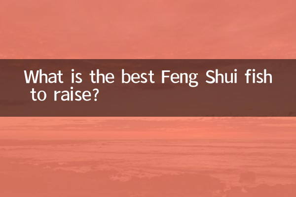 Qual é o melhor peixe Feng Shui para criar?