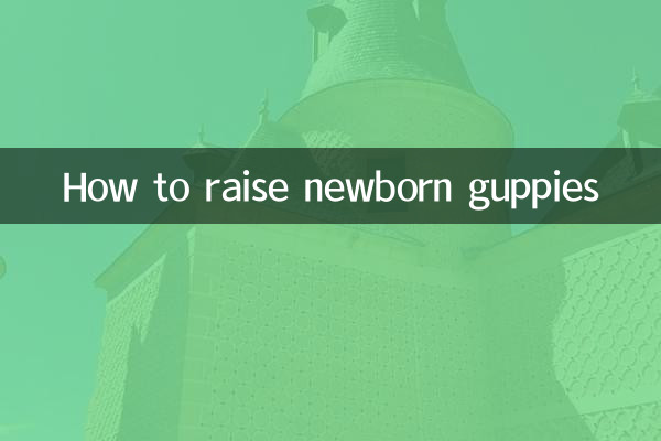 Как вырастить новорожденных гуппи