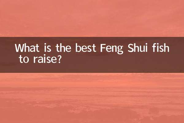 ¿Cuál es el mejor pez Feng Shui para criar?