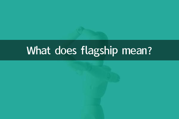 旗舰是什么意思