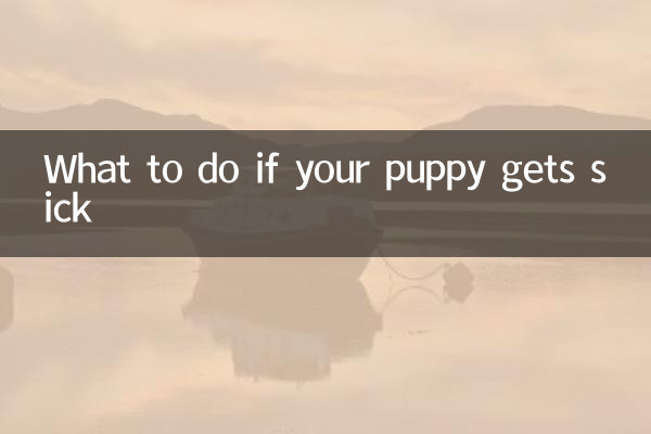 Was tun, wenn Ihr Welpe krank wird?