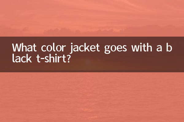 কালো টি-শার্টের সাথে কোন রঙের জ্যাকেট যায়?