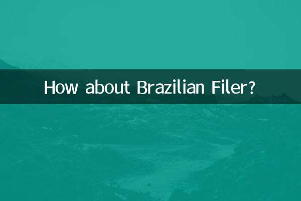 ブラジルのファイラーはどうですか？