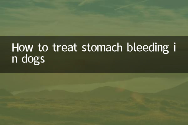 Comment traiter les saignements d'estomac chez le chien