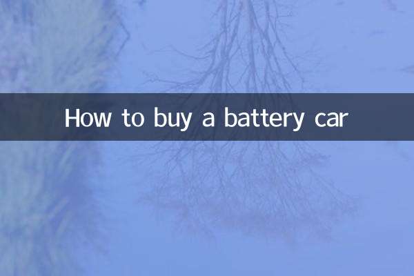 배터리 자동차를 구입하는 방법