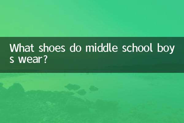 Che scarpe indossano i ragazzi delle scuole medie?