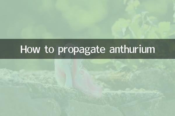 Cómo propagar anturio
