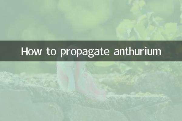 Comment propager l'anthurium