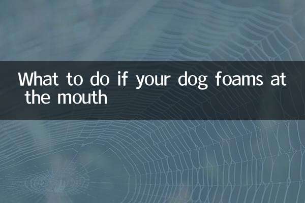 Что делать, если у собаки пошла пена изо рта