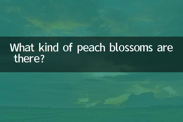 چه نوع شکوفه های هلو وجود دارد؟