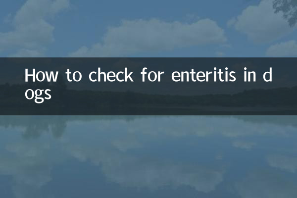 Wie man bei Hunden auf Enteritis prüft