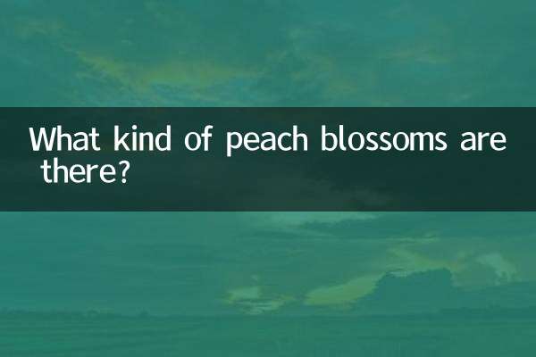 摆什么花招桃花