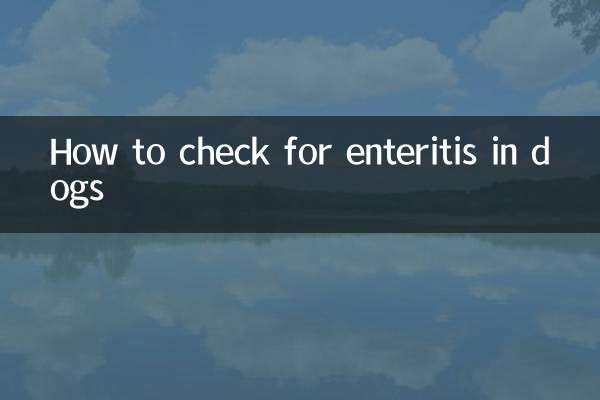 Wie man bei Hunden auf Enteritis prüft