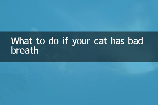Cosa fare se il tuo gatto ha l'alitosi