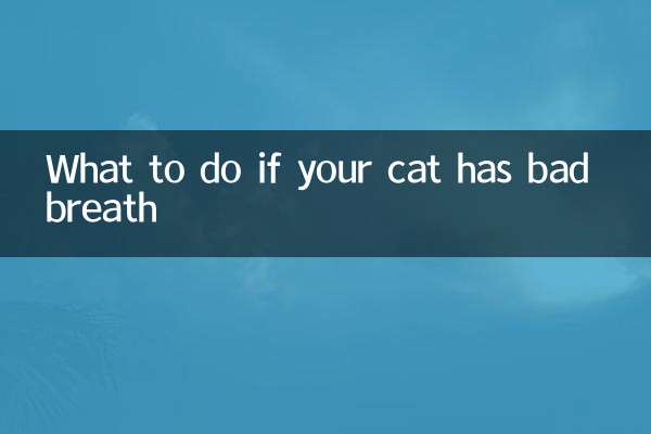 Cosa fare se il tuo gatto ha l'alitosi